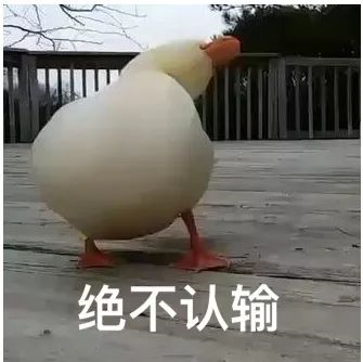 11.png